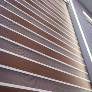 MK Zebra Bison Blinds