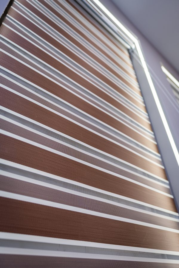 MK Zebra Bison Blinds - Image 3